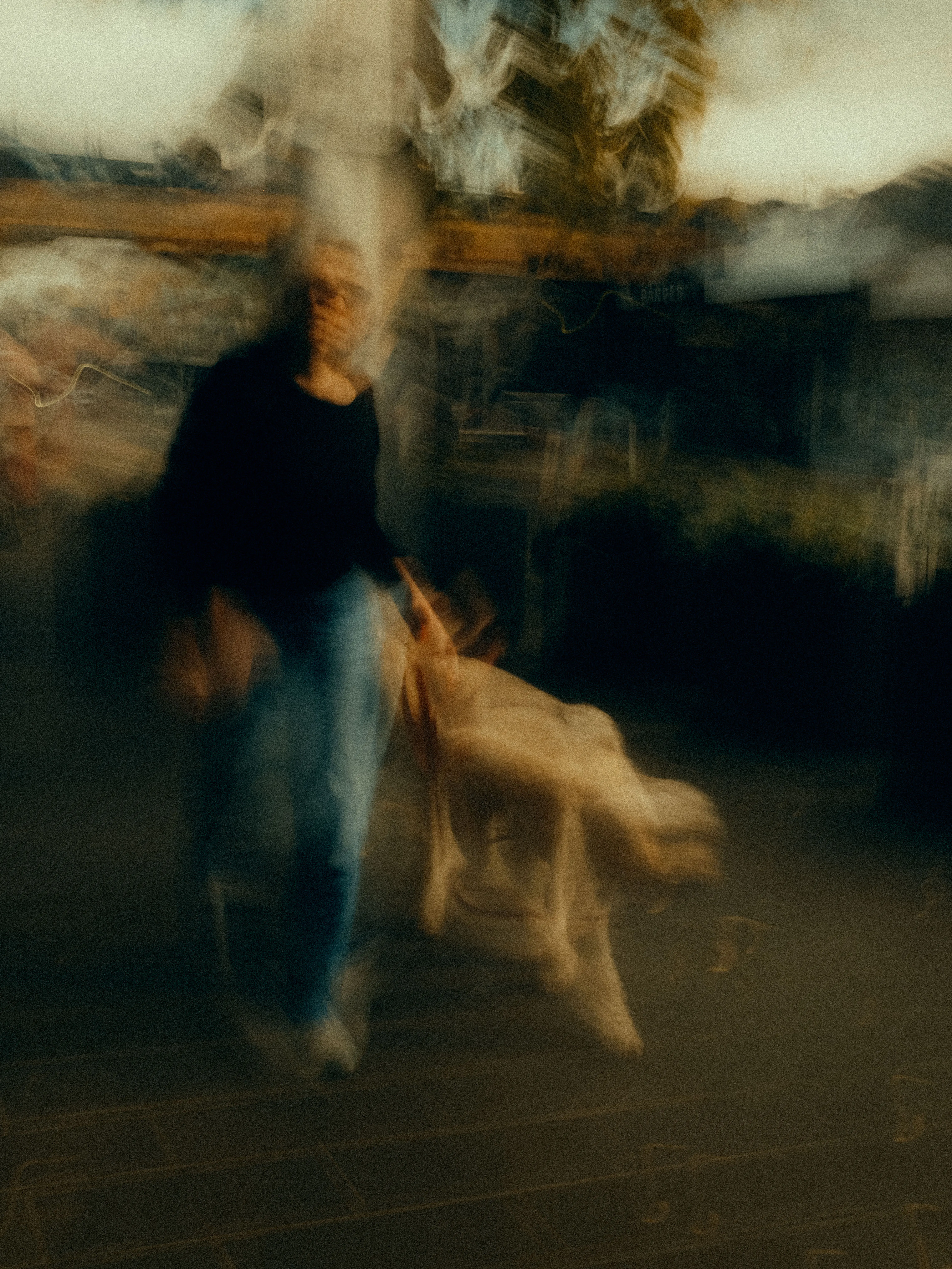 A person in black walks a pale golden dog through a blurred suburban street, trees and timber fencing dissolving into painterly earthy strokes beneath an overcast sky.
